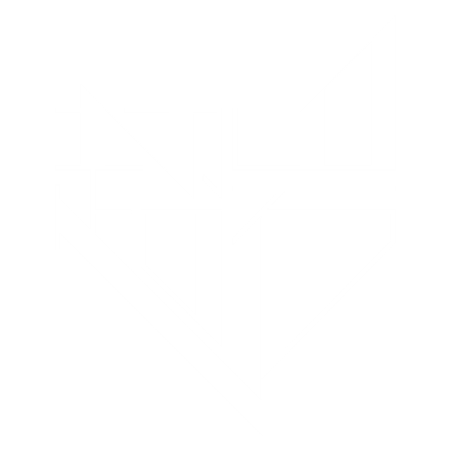 CHAOYAN logo